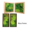 1.5sq. Ft Preserved Moss Pole Moss Pillow Moss Colored_5