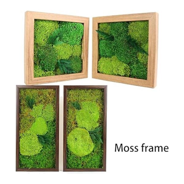 1.5sq. Ft Preserved Moss Pole Moss Pillow Moss Colored_5