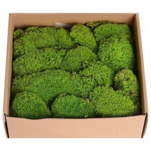 1.5sq. Ft Preserved Moss Pole Moss Pillow Moss Colored_1