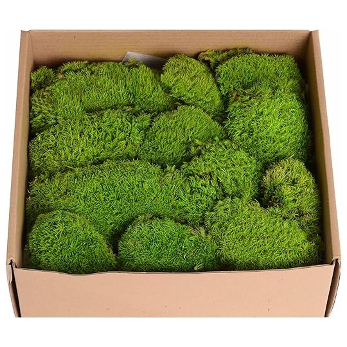 1.5sq. Ft Preserved Moss Pole Moss Pillow Moss Colored