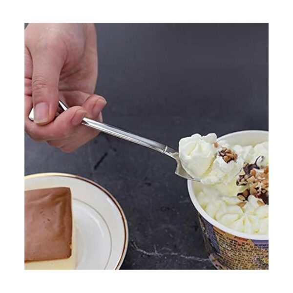 10 cucharas de postre de 6.0 in en forma de pala de acero