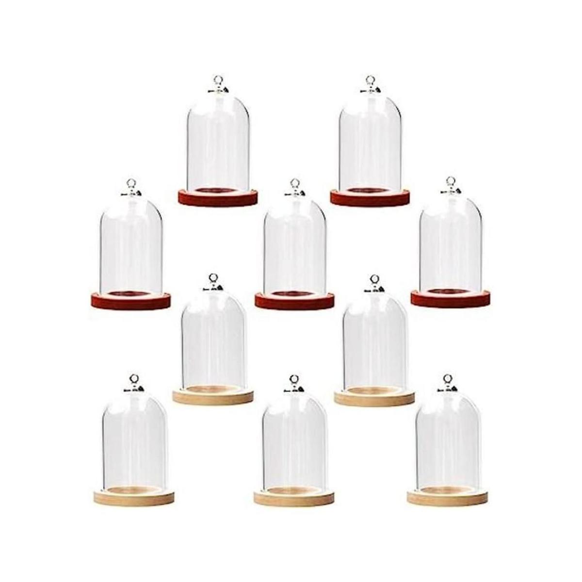 10 piezas de cúpula de vidrio con base de madera colgante