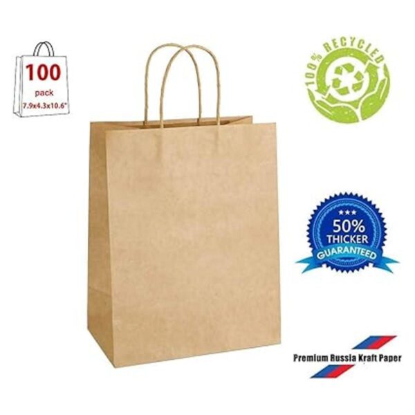 100 bolsas de papel de estraza de 7.9 x 4.25 x 10.6