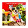 100 corbatas para perros con cuello ajustable de 19