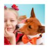 100 corbatas para perros con cuello ajustable de 19