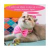 100 corbatas para perros con cuello ajustable de 19