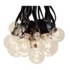 100 foot Globe Patio String Lights Set de 100 G40