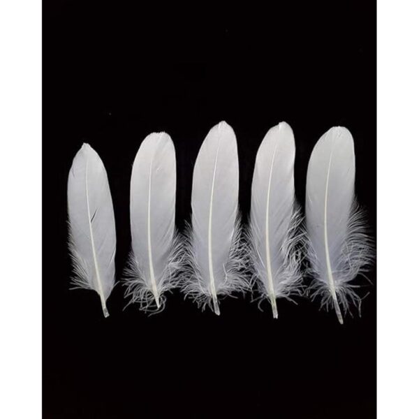 100 plumas de ganso naturales de 6 a 8 pulgadas para