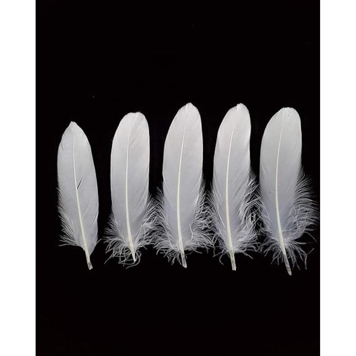 100 plumas de ganso naturales de 6 a 8 pulgadas para