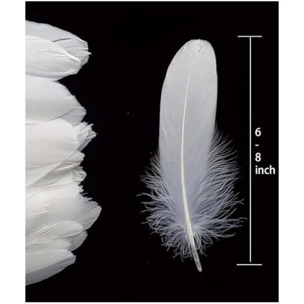 100 plumas de ganso naturales de 6 a 8 pulgadas para