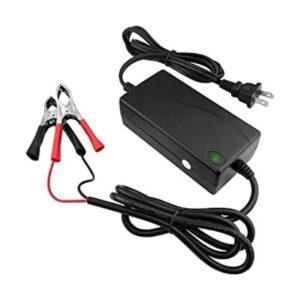 12 V 3 Amp chargerfor 12 V 12 Ah Sla Batería T2_1