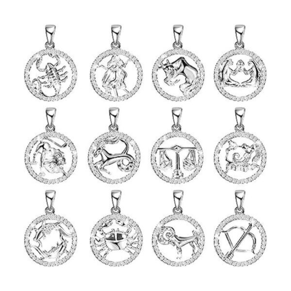 12 dijes redondos de diamantes de imitación con signo del