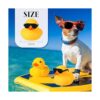 12 patos de goma con 12 lentes de sol sombreros_2