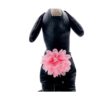 12 piezas de collar de perro rosa con lazos y flores para