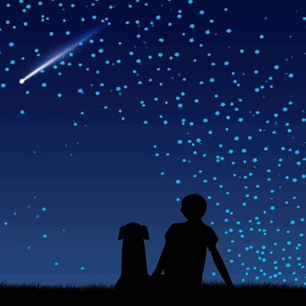 1230 calcomanías de pared con estrellas ultra brillantes