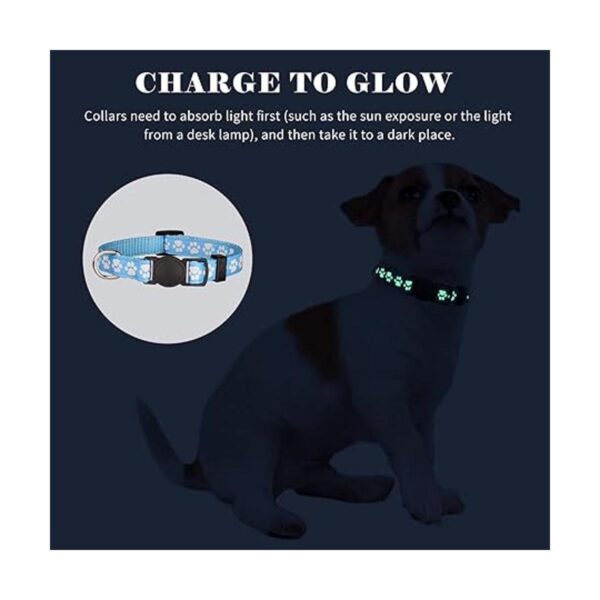 14 collares para cachorros de arena para cachorros que
