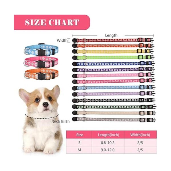 14 collares para cachorros de arena para cachorros que