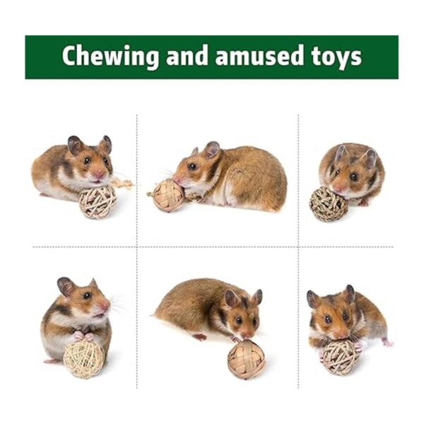 15 piezas de bolas para masticar animales pequeños bolas
