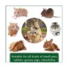 15 piezas de bolas para masticar animales pequeños bolas