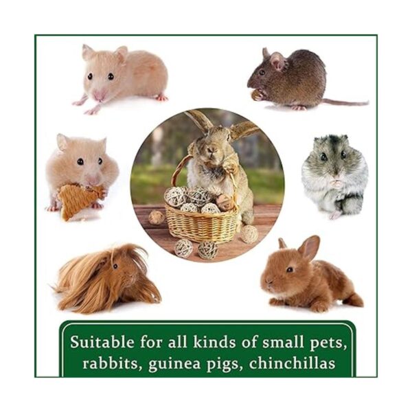 15 piezas de bolas para masticar animales pequeños bolas