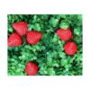 18 fresas artificiales de plástico color rojo simulación