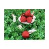 18 fresas artificiales de plástico color rojo simulación