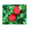 18 fresas artificiales de plástico color rojo simulación
