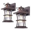 2 Packs Motion Sensor Outdoor Lights Dusk to Dawn Outdoor_1