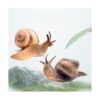2 figuras de caracol modelo de caracol en miniatura para_3