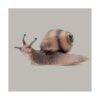 2 figuras de caracol modelo de caracol en miniatura para_6