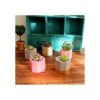 2 moldes de silicona para macetas de flores plantas