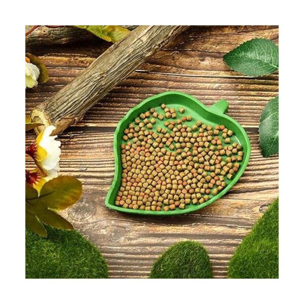 2 platos de comida para reptiles de hoja para beber y