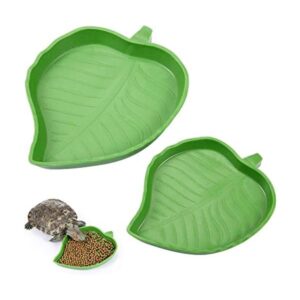 2 platos de comida para reptiles de hoja para beber y