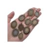 20 bandejas colgantes de bisel 0.512 x 0.709 in ovaladas
