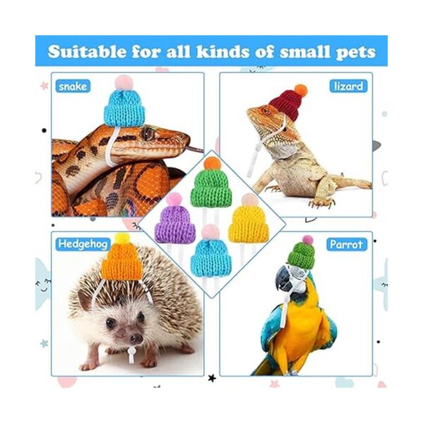 20 piezas de sombrero de serpiente para mascotas con