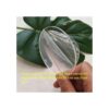 20 unidades de disco redondo de acrílico transparente en