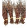 200 unidades. Ramitas de abedul 100 naturales para_1