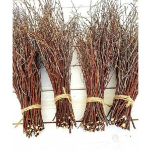 200 unidades. Ramitas de abedul 100 naturales para_1