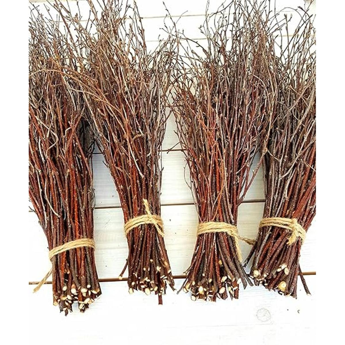 200 unidades. Ramitas de abedul 100 naturales para