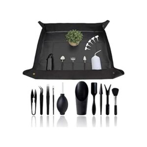 21 piezas suculentas herramientas para plantas Kit de_1
