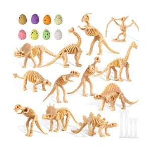 24 piezas de dinosaurio fósiles de esqueleto de dinosaurio_1