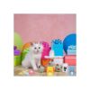 24 unidades de mini bloc de notas de animales de gato