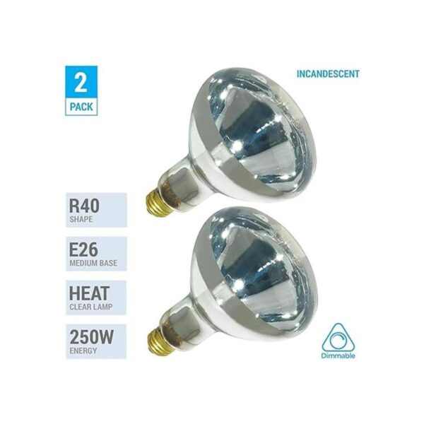 250R401 Reflector incandescente R40 de 250 vatios_2