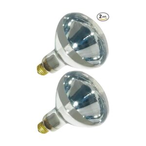 250R401 Reflector incandescente R40 de 250 vatios_1