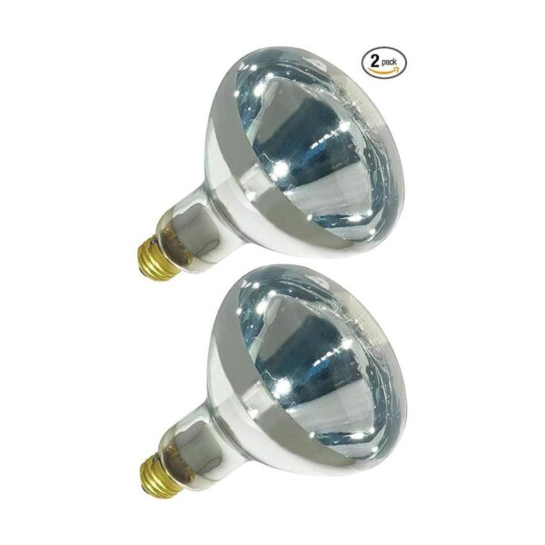 250R401 Reflector incandescente R40 de 250 vatios_1