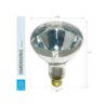 250R401 Reflector incandescente R40 de 250 vatios_3