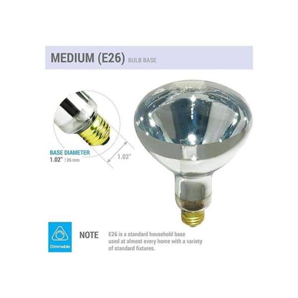 250R401 Reflector incandescente R40 de 250 vatios_4
