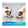 30 cuencos desechables de alimentación para perros
