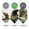 5 ramas de madera flotante para acuario decoración de_5