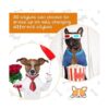 50 corbatas ajustables para el cuello del perro 50 tipos